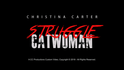 Catwoman Struggle