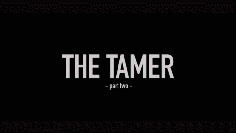 The Tamer - Part 2