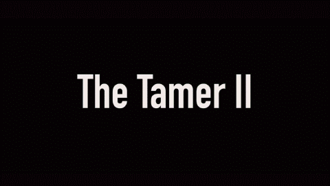 The Tamer 2