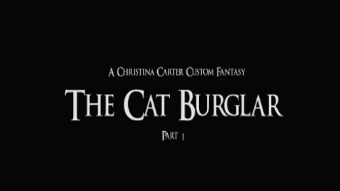 The Cat Burglar, A Bondage Tale - Part 1