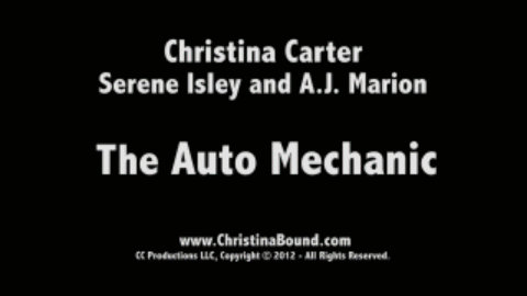 The Auto Mechanics