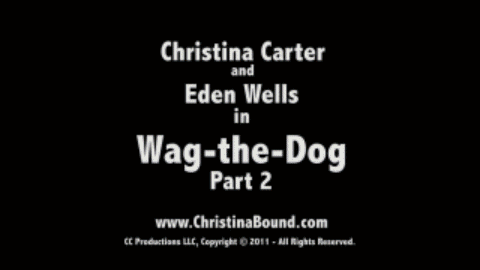 Wag The Dog - Part 2